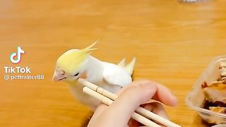 Naughty Cocktail.