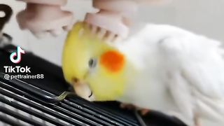 Cute cocktail.