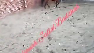 zuljanah jalal badshah