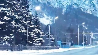 Beautiful view of nature 26