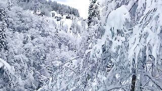 Beautiful view of nature 28