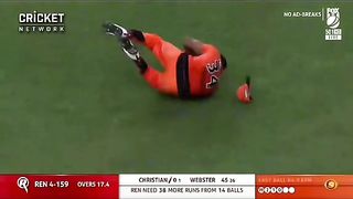 Cricket