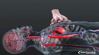How to pump blood ...