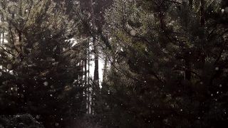 Sweet Weather