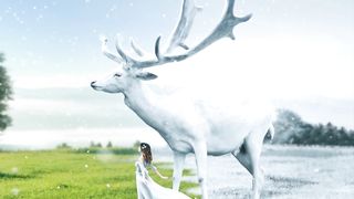Beautiful deer And Girl Video clips By Technical naveed