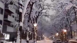 Beautiful view of nature 33
