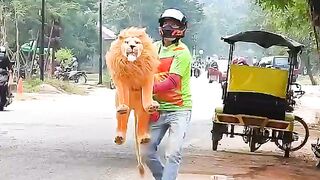 Not Try to Laugh Funny Prank Sleep Dog