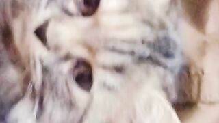 Cute cat video with me
