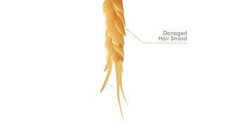 Hair conditioner amazon hair shampoo