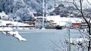 Beautiful view of nature 42