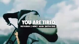 DON'T STOP WHEN YOU ARE ???????? ~ sigma rule ???? Attitude status ???????? ~ motivation whatsapp status.