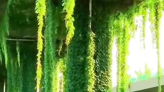 nature view with music | follow