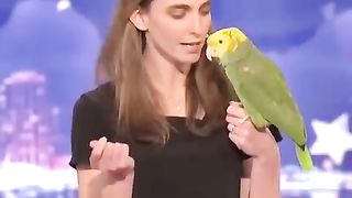 Educated parrot.