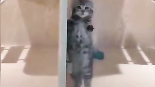 Funny adorable laugh videos 2023 clips 1