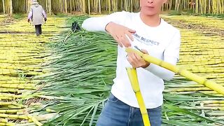 best funny video of 2023