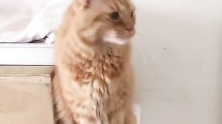 Funny adorable laugh videos 2023 clips 3