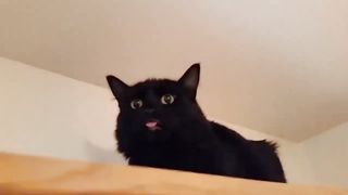 Funny adorable laugh videos 2023 clips 2