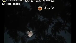 Love of Allah pak