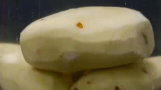 Short Time Dish : Must Watch