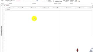 How to make age calculator in MS Access