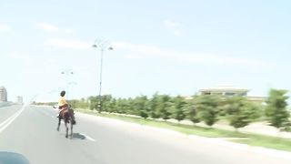 Horse amazing Race