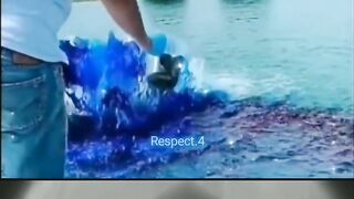 Respect #7