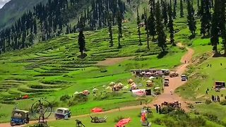 Beautifull view