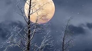 Moon ???? view