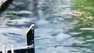 watch the end ????????#shorts #funny #fpy