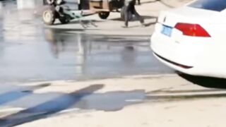 watch the end ????????#shorts #funny #fpy