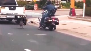 Best video