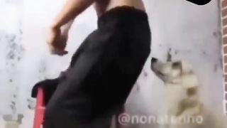 Funny vedios