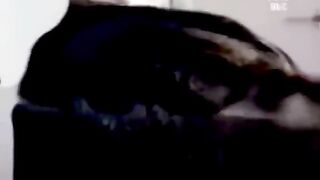 Funniest Cats ???? - Don't try to hold back Laughter ???? - Funny Cats Life