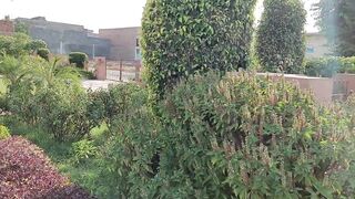 my first vlog