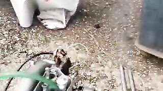 Vespa Engine Start