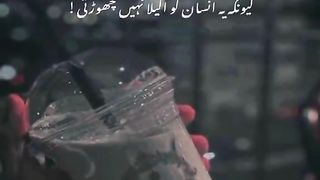 Whatsapp status