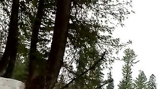 Murre tour