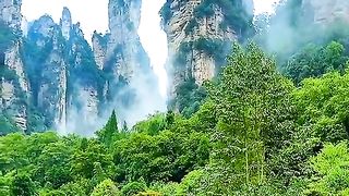 gorgeous nature
