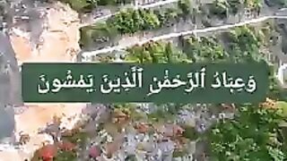 Chattar_Valley