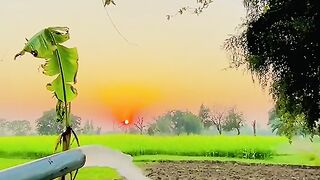 Punjab Vlog Pak