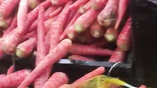 Health Benefits of summer vegetables in Pakistan
