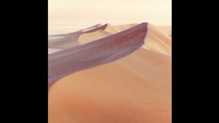 Deadvlei/Namibia