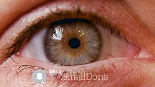 How everyday object look real in 8k ultra HD-