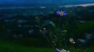 Swat the land of paradise