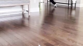 funny videos enjoy any moments