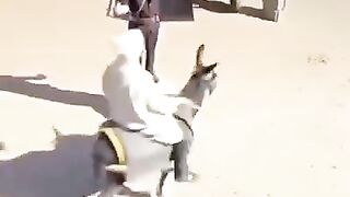 Funny traffic police man