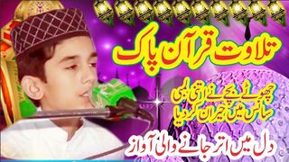 Heart Touching Recitation of Surat E Duha || Qari Muhammad Shahzaib Sialvi || Beautiful Tilawat ||