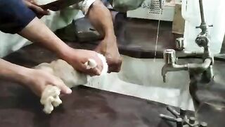 Medical laboratory scenes