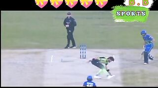 Cricket Lover