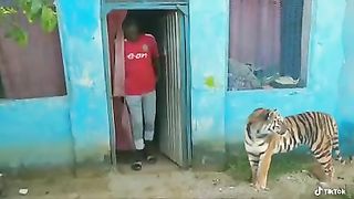 What happened when the servant came out of the house?